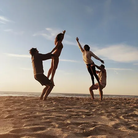 Wood Mood 假日公园 *