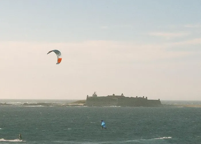 Wood Mood 홀리데이파크 카민하