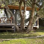 Wood Mood كامينيا