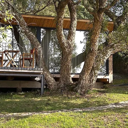 Wood Mood Каминья